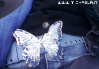 Cintura farfallosa